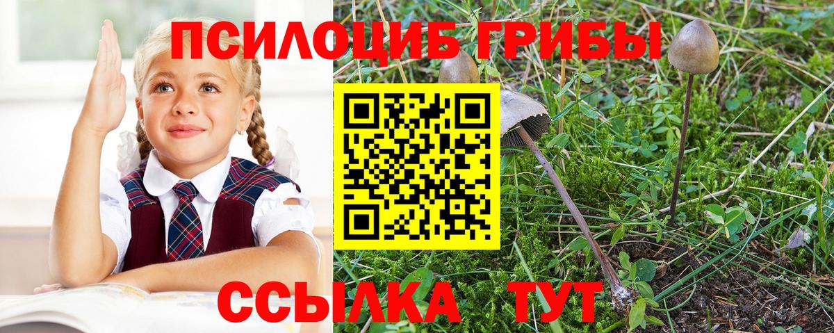 Родники  Псилоцибиновые грибы GOLDEN TEACHER  Вход с VPN 