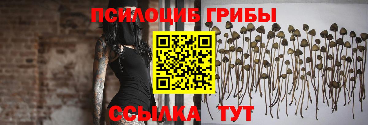 Псилоцибиновые грибы ЛСД Родники